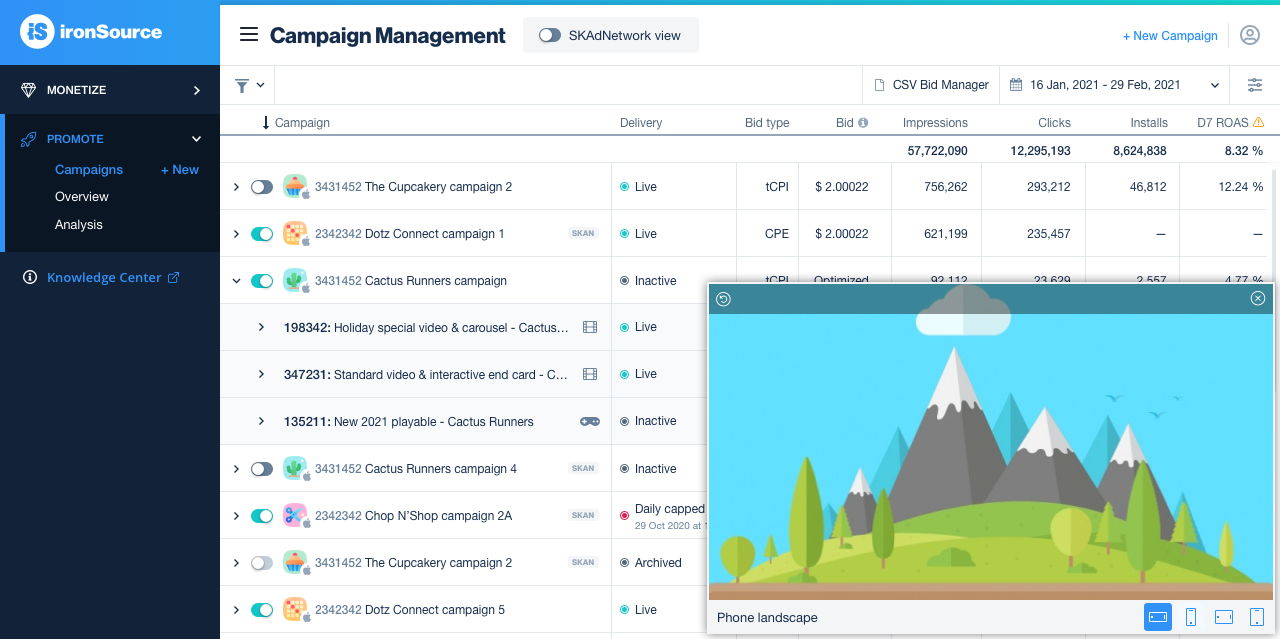 Creative preview on Campaign Management page